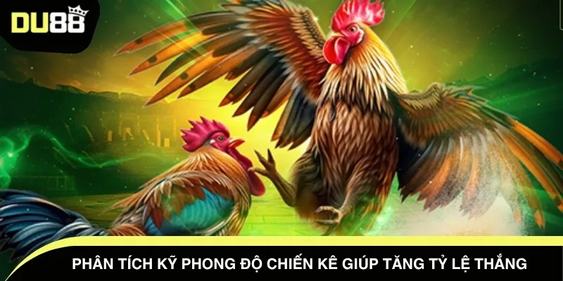 Phân tích kỹ phong độ chiến kê giúp tăng tỷ lệ thắng